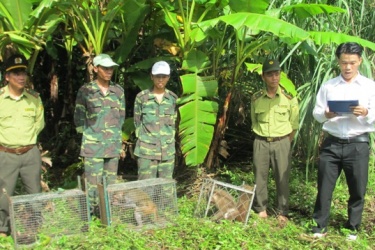 Drop wildlife on the natural environment in the national park of Phong Nha - Ke Bang